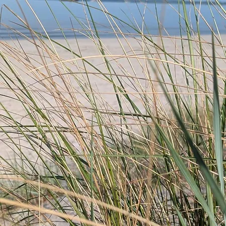 Prázdninový dům Reusenhaus Nord Breege