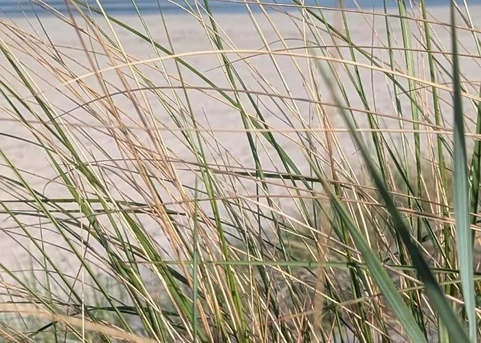 Casa vacanze Reusenhaus Nord Breege