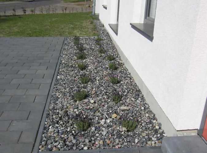 Reusenhaus Nord * Breege
